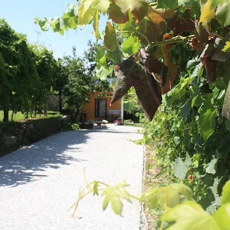 Casa Matreiro Дом отдыха Prozelo