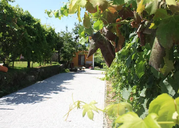 Casa Matreiro Holiday home Prozelo