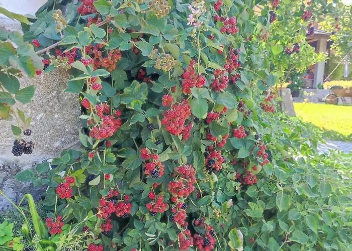 펜션 Casa Matreiro